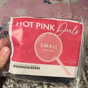 Thirty-One Hot Pink Small Mystery Bag